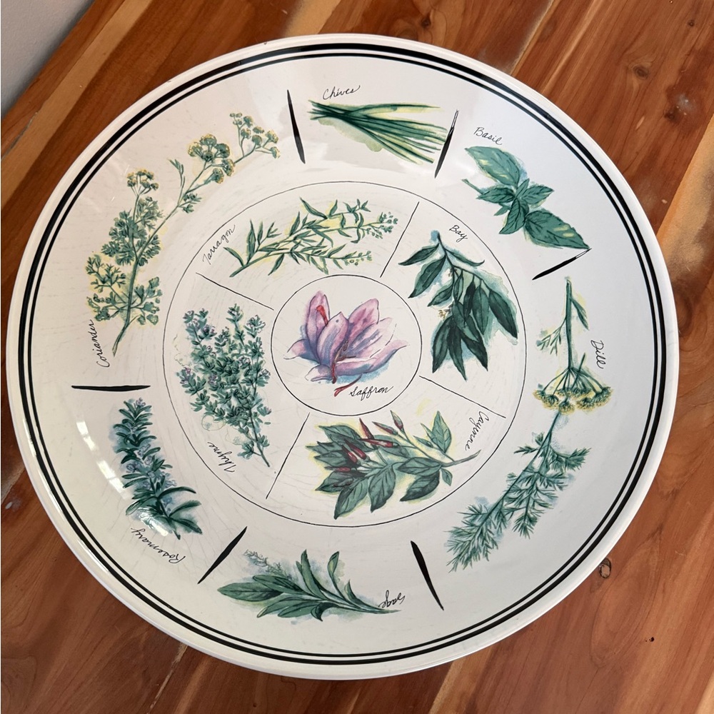 Williams-Sonoma 13” White Ceramic serving bowl with painted culinary herbs GUC - Picture 13 of 13